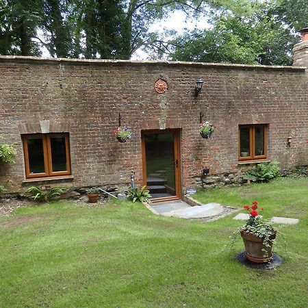 Appartement The Potting Shed à Little Torrington Extérieur photo
