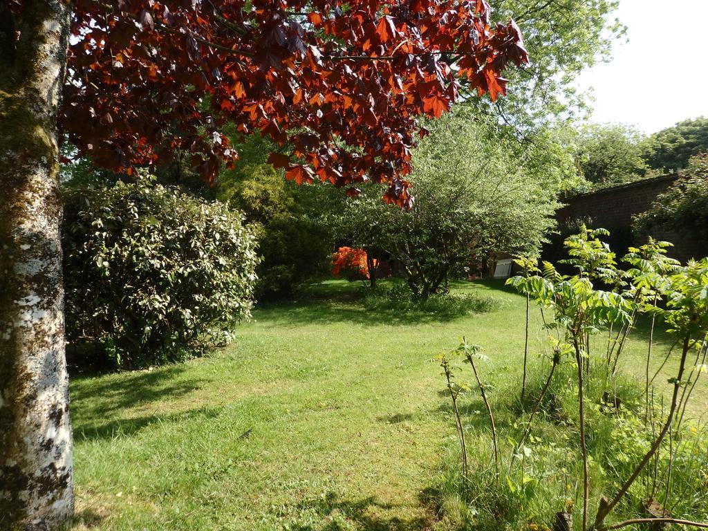 Appartement The Potting Shed à Little Torrington Extérieur photo
